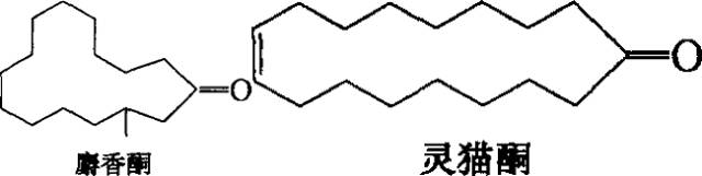 香水的香氣從何而來？