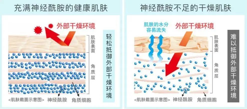 2022年護(hù)膚熱門(mén)功效成分有哪些？