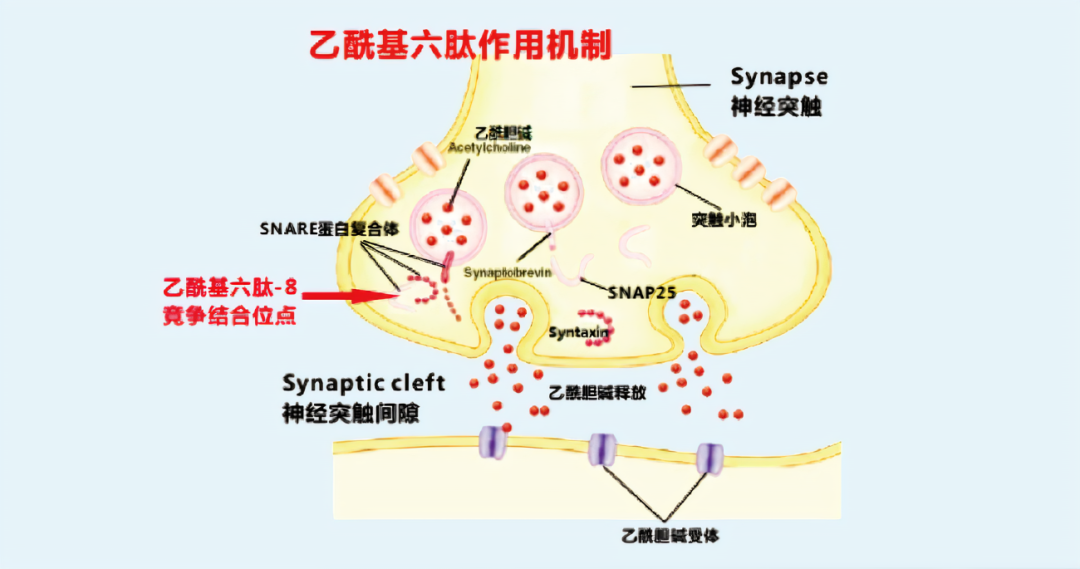 2022年護(hù)膚熱門(mén)功效成分有哪些？