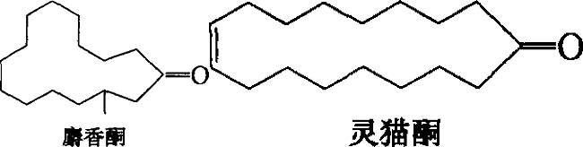 香水有什么化學(xué)背景？