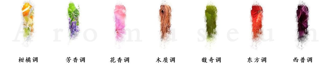 為什么有人一身果香，有人卻一身藿香？