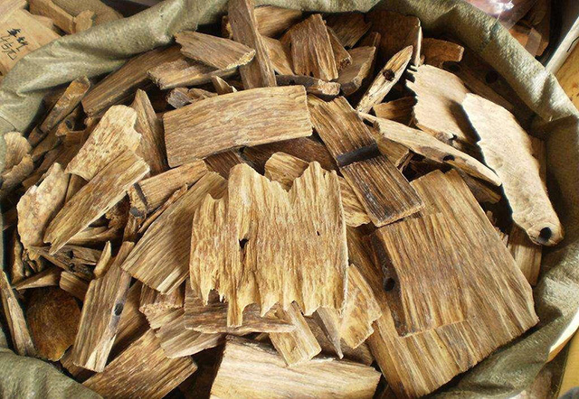 最強”男士氣場“水泥森林中的軍備競賽！
